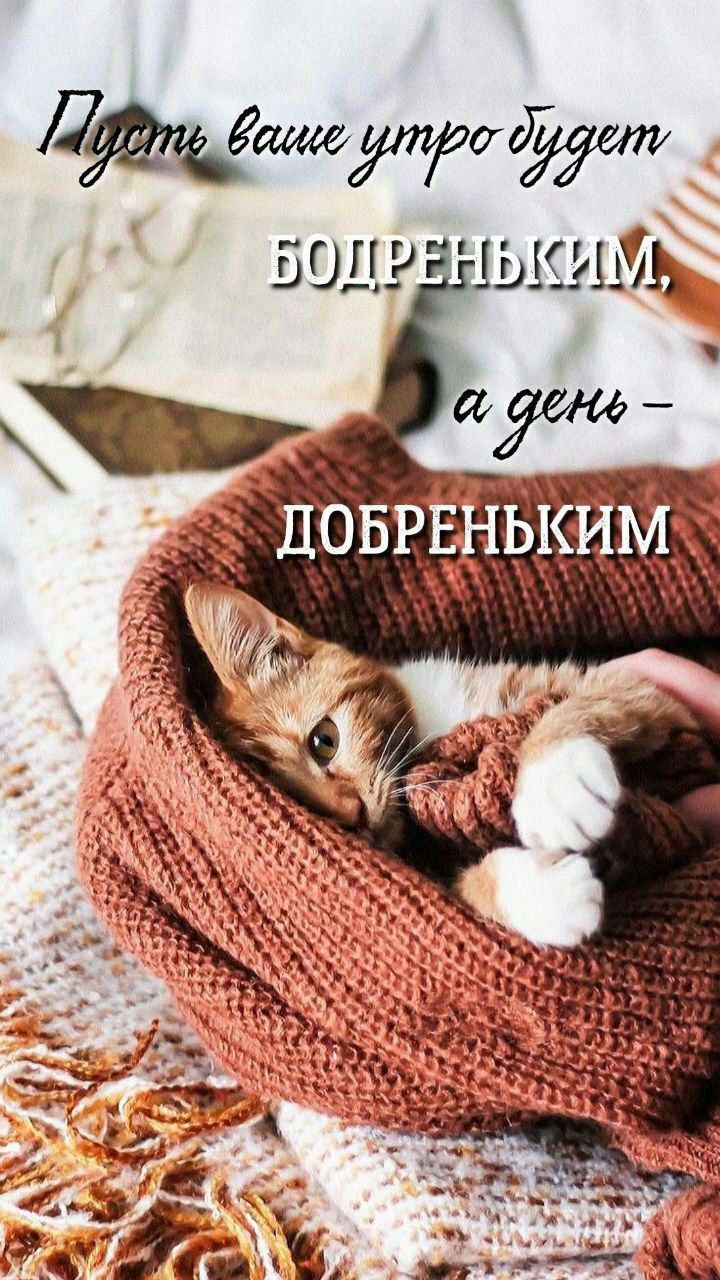 Пусть ваше утро будет БОДРЕНЬКИМ, а день – ДОБРЕНЬКИМ
