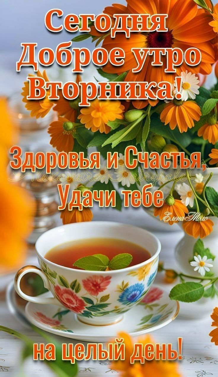 Сегодня Доброе утро Вторника! Здоровья и Счастья, Удачи тебе на целый день!