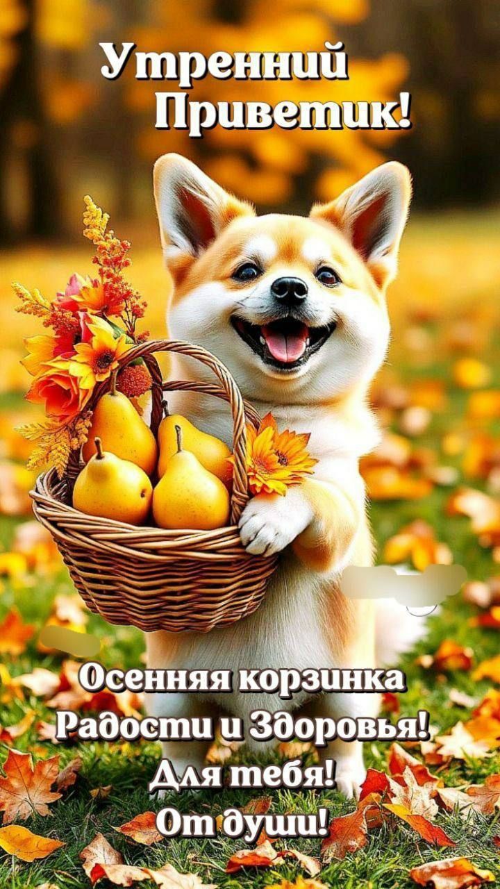 Утренний Приветик!
Осенняя корзинка Радости и Здоровья!
Для тебя!
От души!