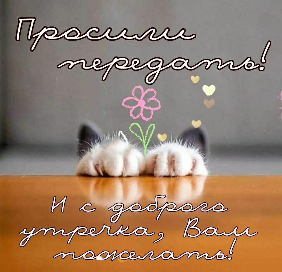 Просили передать! И с доброго утречка, Вам пожелать!
