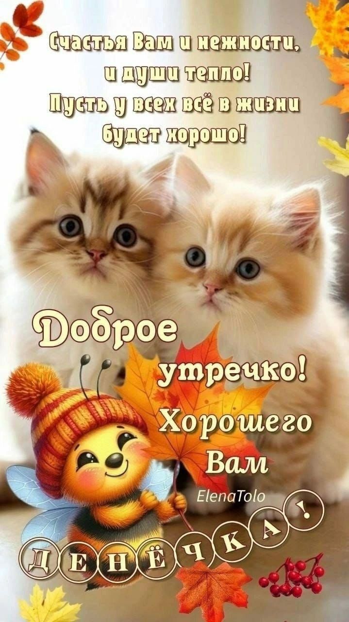Счастья Вам и нежности, и души тепло! Пусть у всех всё в жизни будет хорошо! Доброе утречко! Хорошего Вам ElenaTolo ДЕНЁЧКА!