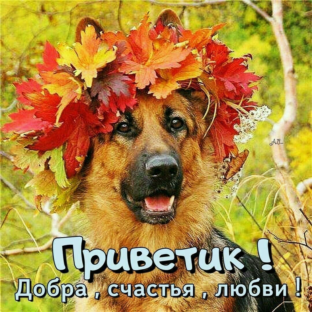Приветик ! Добра , счастья , любви !