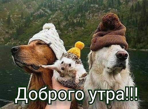 Доброе утро!!!