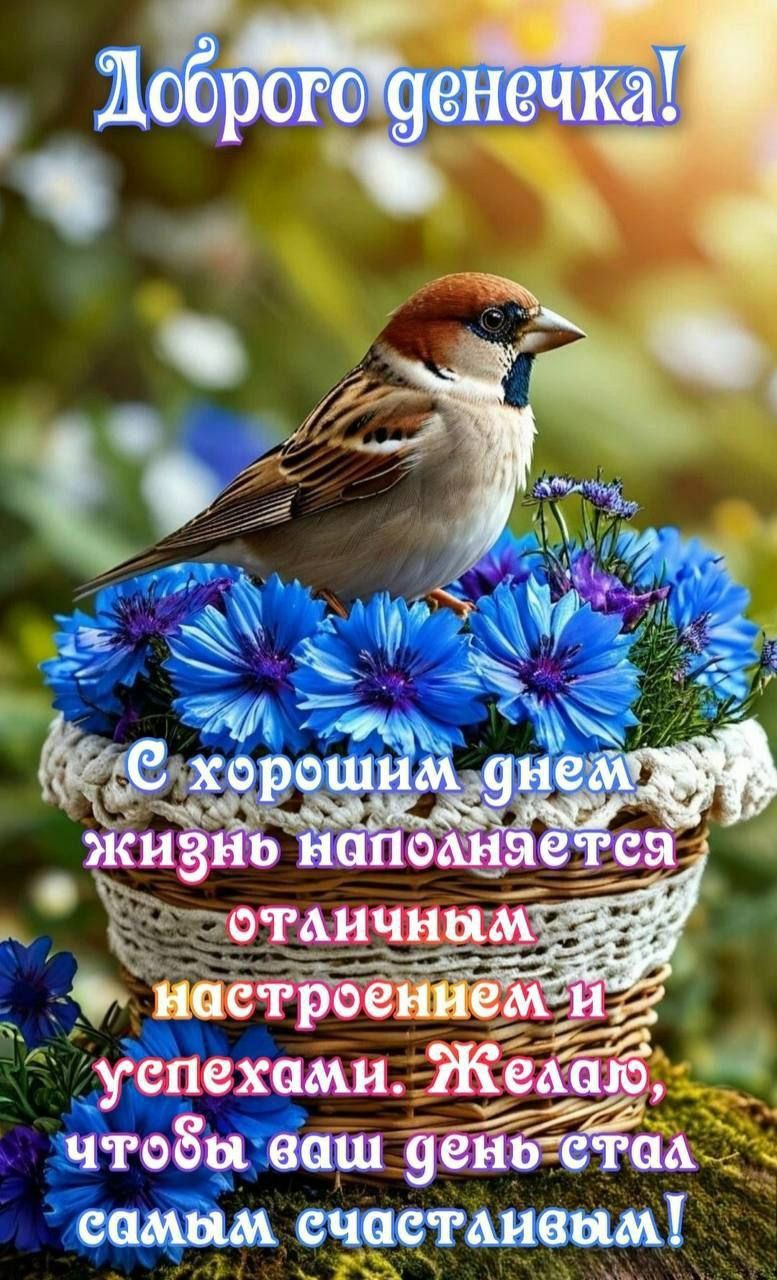 Доброго денечка! С хорошим днем жизнь наполняется отличным настроением и успехами. Желаю, чтобы ваш день стал самым счастливым!