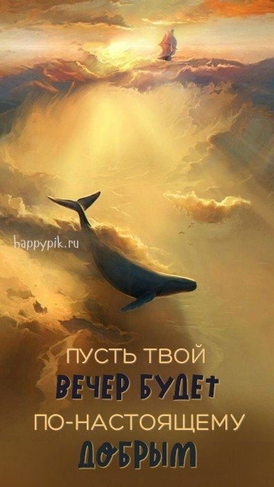 Пусть твой вечер будет по-настоящему добрым