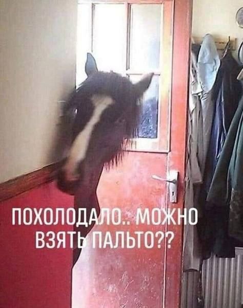 Похолодало.. Можно взять пальто??