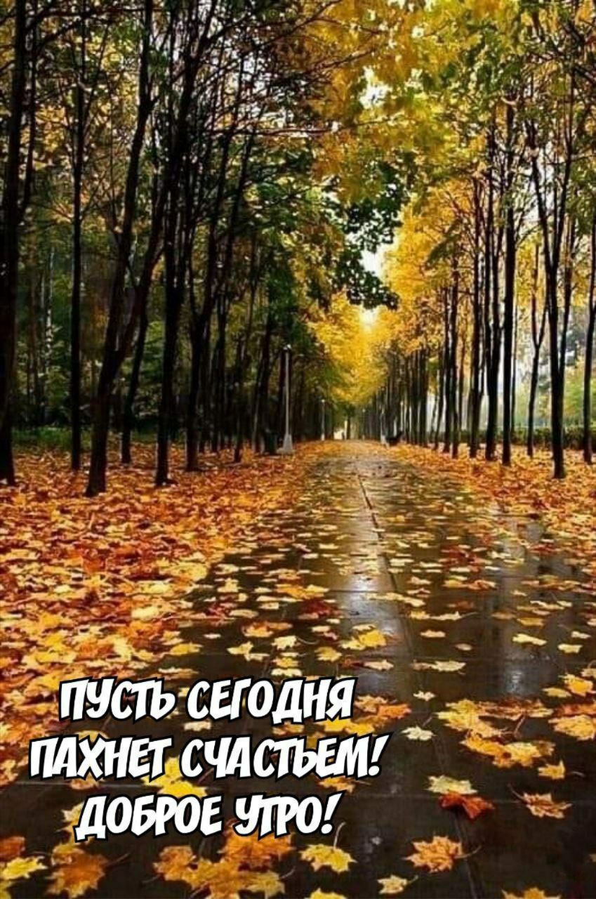 Пусть сегодня пахнет счастьем! Доброе утро!