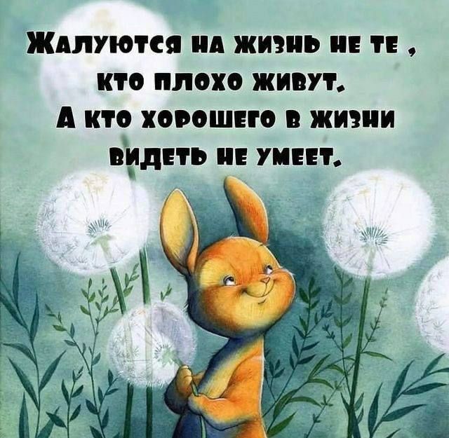 Жалуются на жизнь не те, кто плохо живут, а кто хорошего в жизни видеть не умеет.