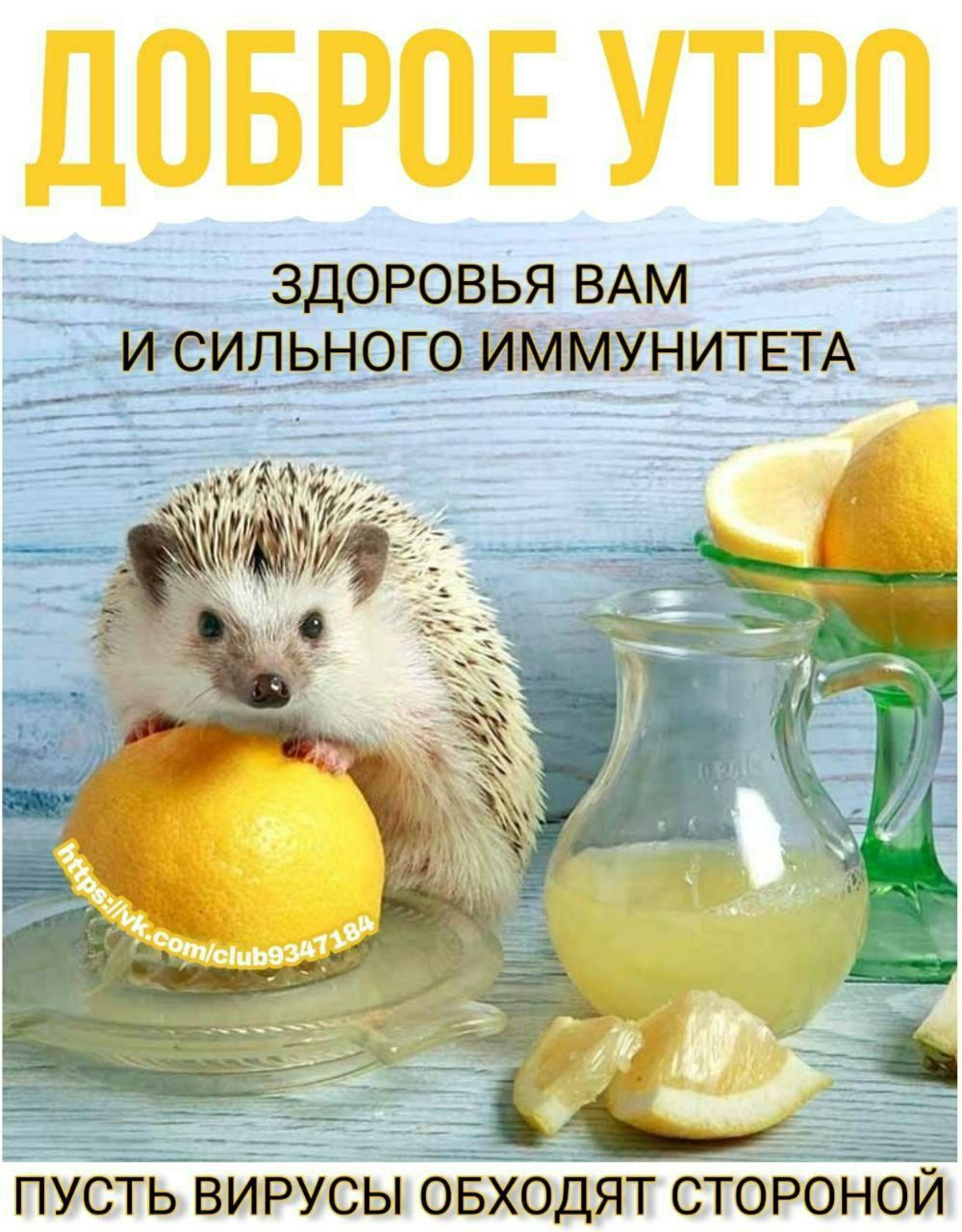 Доброе утро
Здоровья вам и сильного иммунитета
Пусть вирусы обходят стороной