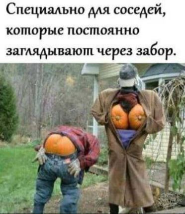 Специально для соседей, которые постоянно заглядывают через забор.