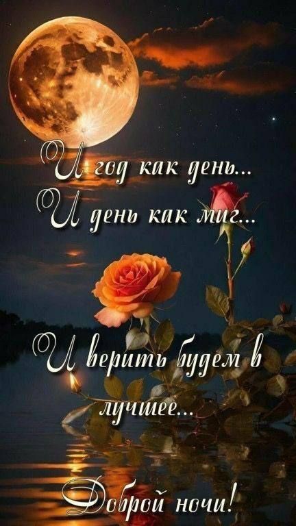 И год как день... И день как миг... И верить будет в лучшее... Доброй ночи!
