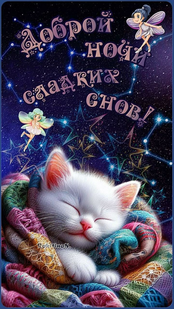 Доброй ночи сладких снов!