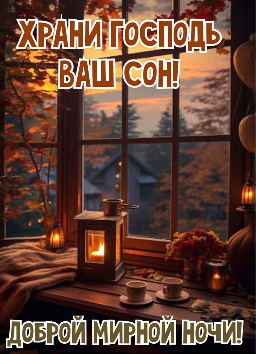 Храни Господь Ваш сон! Доброй мирной ночи!