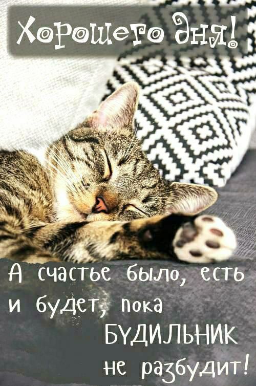 Хорошего дня!
А счастье было, есть и будет, пока Будильник не разбудит!