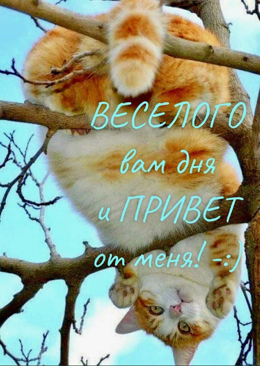 ВЕСЕЛОГО вам дня и ПРИВЕТ от меня! :-)