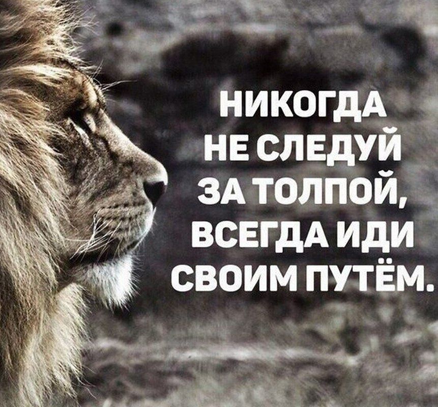 НИКОГДА НЕ СЛЕДУЙ ЗА ТОЛПОЙ, ВСЕГДА ИДИ СВОИМ ПУТЁМ.