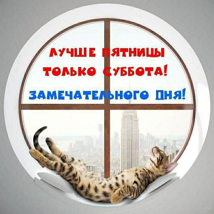 ЛУЧШЕ ПЯТНИЦЫ ТОЛЬКО СУББОТА! ЗАМЕЧАТЕЛЬНОГО ДНЯ!