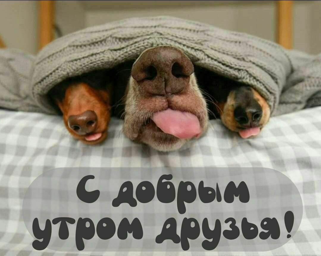 С добрым утром друзья!