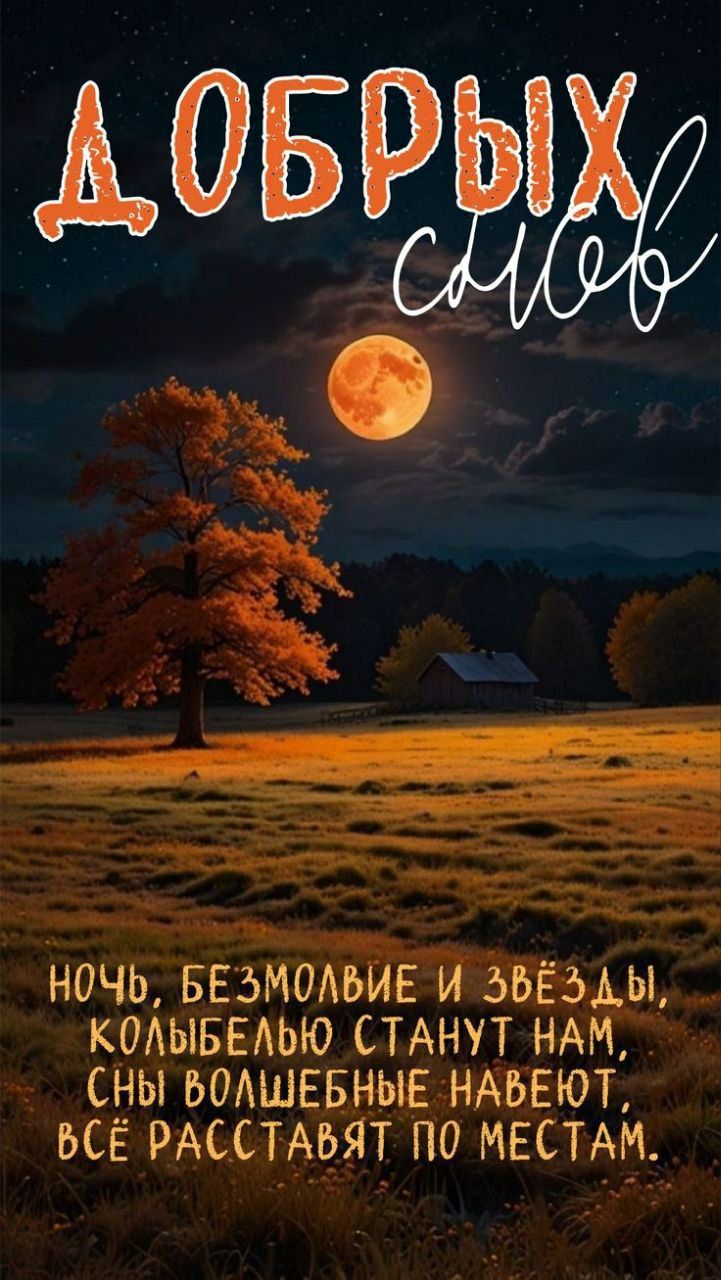 ДОБРЫХ снов\nНОЧЬ, БЕЗМОЛВИЕ И ЗВЁЗДЫ, КОЛЫБЕЛЬЮ СТАНУТ НАМ, СНЫ ВОЛШЕБНЫЕ НАВЕЮТ, ВСЁ РАССТАВЯТ ПО МЕСТАМ.