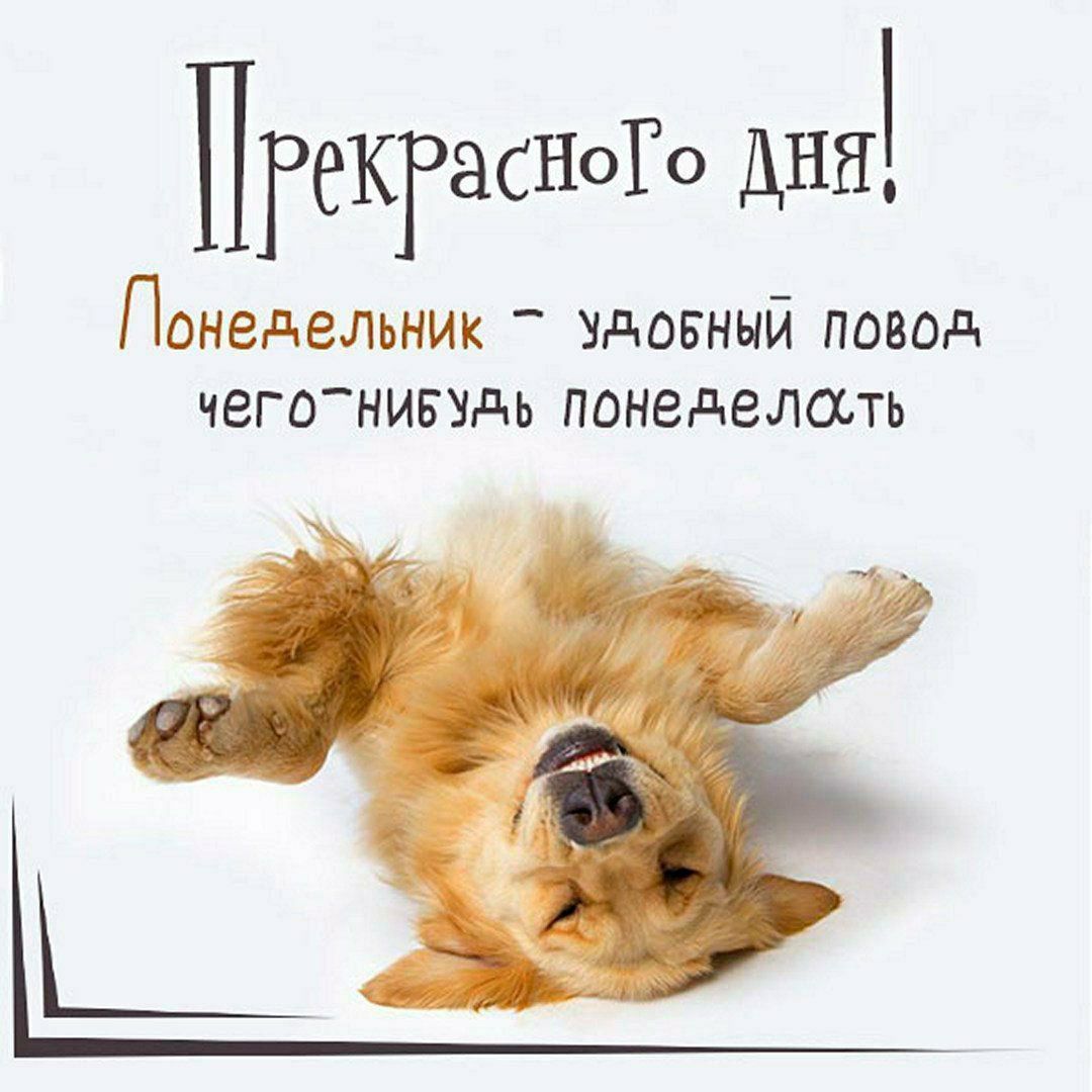 Прекрасного дня!
Понедельник - удобный повод чего-нибудь понедельдать