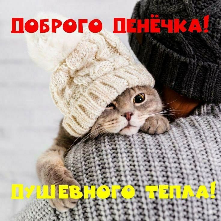 Доброго денёчка!
Душевного тепла!