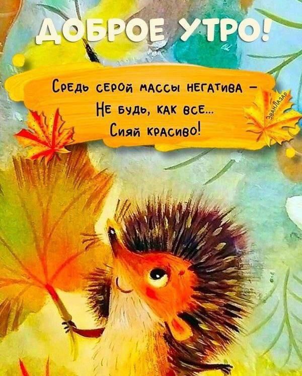 ДОБРОЕ УТРО!
Среди серой массы негатива - Не будь, как все... Сияй красиво!