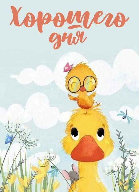 Хорошего дня