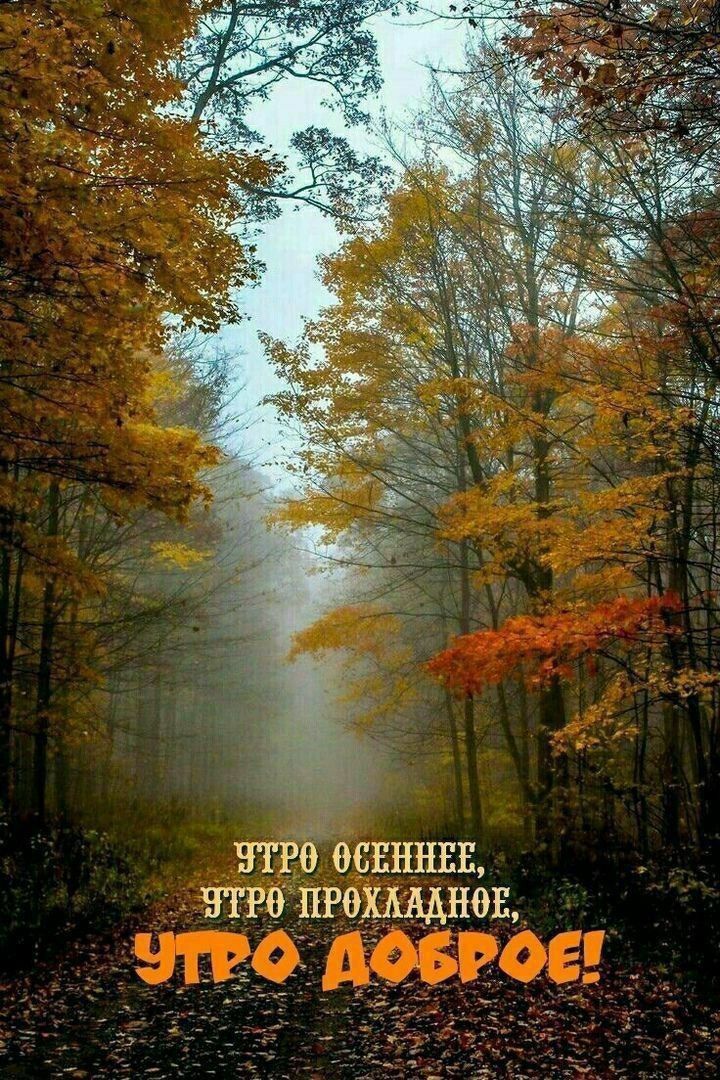 УТРО ОСЕННЕЕ, УТРО ПРОХЛАДНОЕ, УТРО ДОБРОЕ!