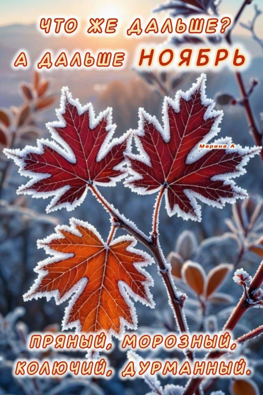 ЧТО ЖЕ ДАЛЬШЕ? А ДАЛЬШЕ НОЯБРЬ. ПРЯНЫЙ, МОРОЗНЫЙ, КОЛЮЧИЙ, ДУРМАННЫЙ.