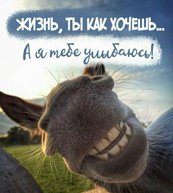 Жизнь, ты как хочешь... А я тебе улыбнусь!