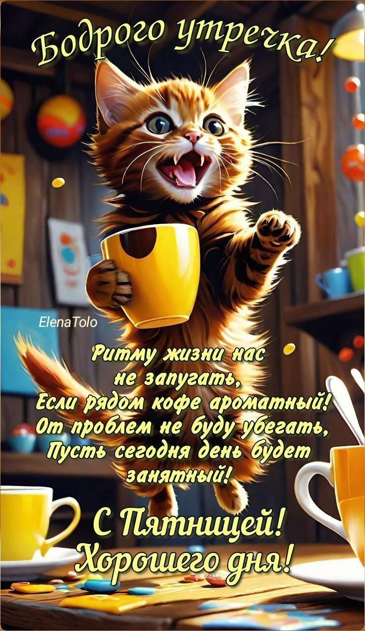 Бодрого утречка! ElenaTolo Ритму жизни нас не запугать, Если рядом кофе ароматный! От проблем не буду убегать, Пусть сегодня день будет занятым! С Пятницей! Хорошего дня!
