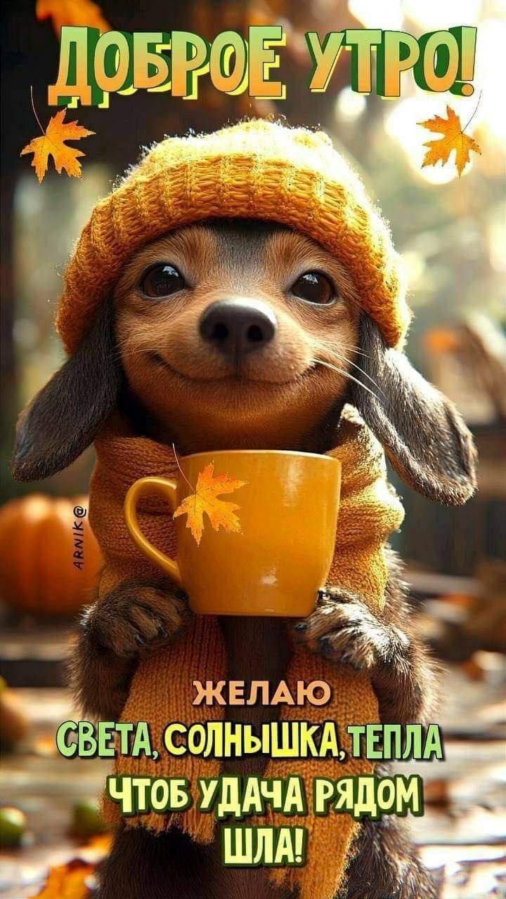 Доброе утро! Желаю света, солнышка, тепла чтобы удача рядом шла!