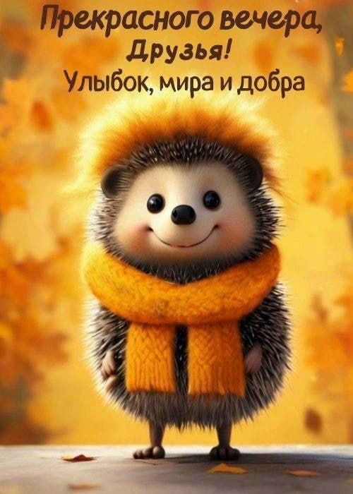 Прекрасного вечера, Друзья! Улыбок, мира и добра