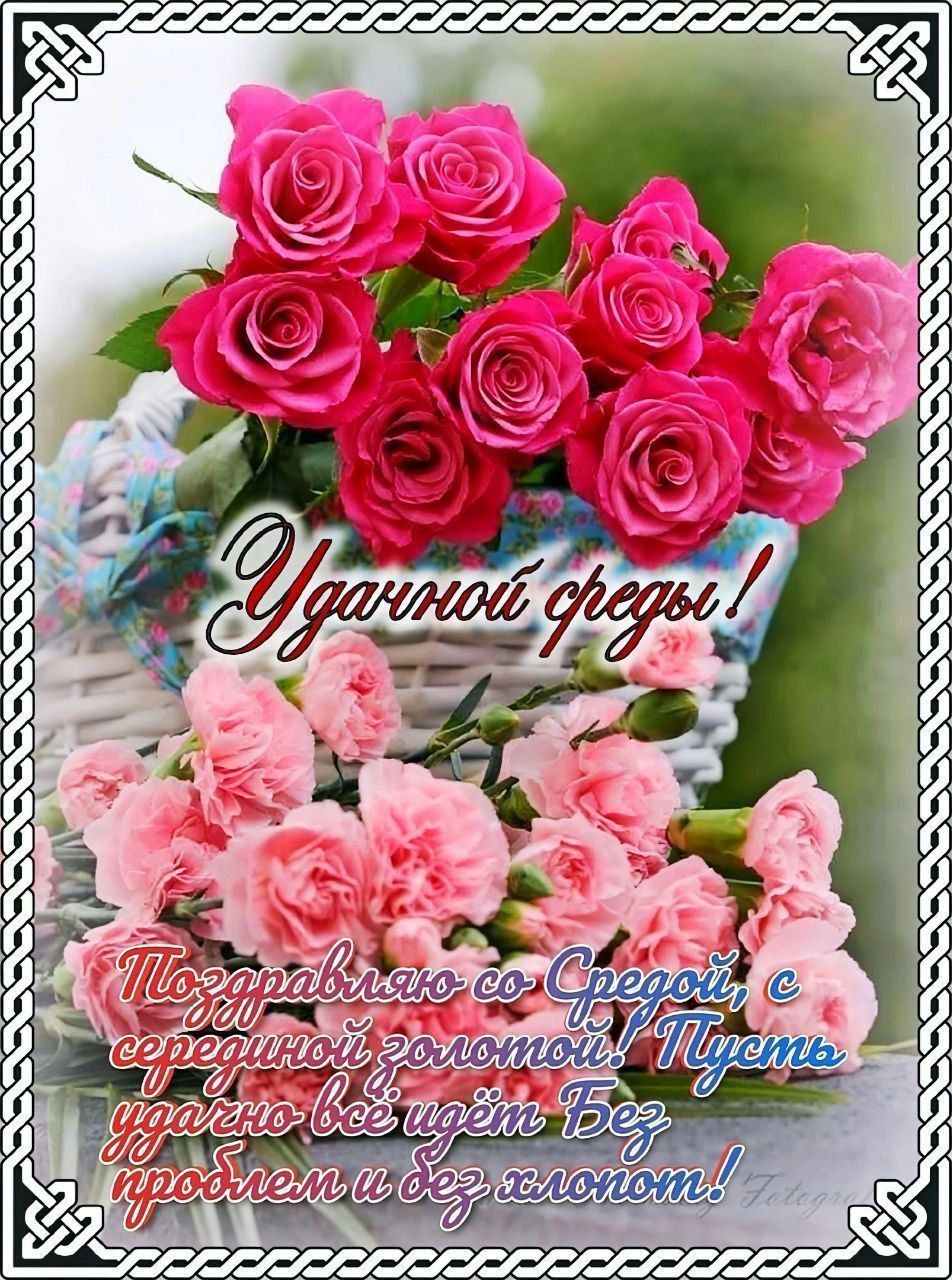 Удачной среды! Поздравляю со средой, с серединой золотой! Пусть удачно всё идёт без проблем и без хлопот!