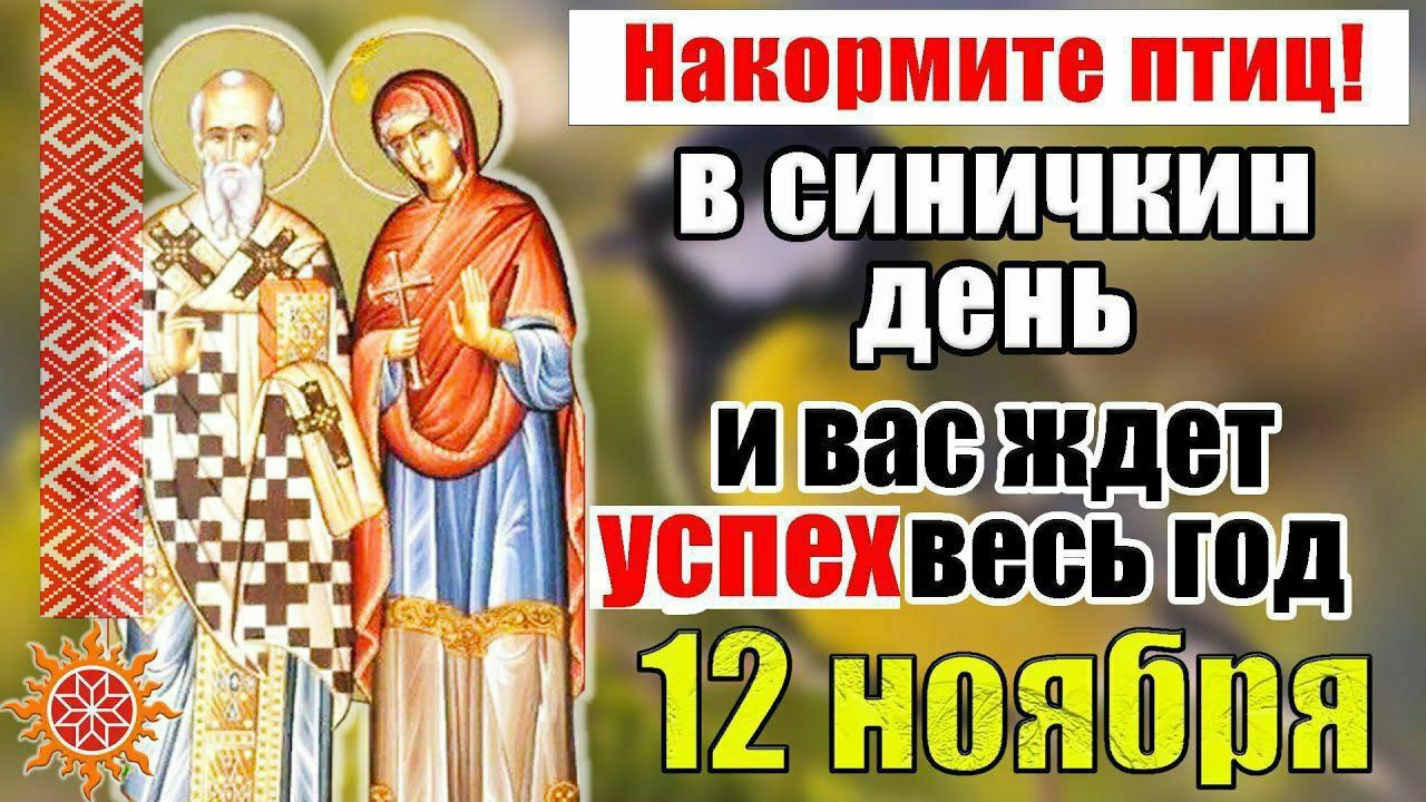 Накормите птиц! в синичкин день и вас ждёт успех весь год 12 ноября