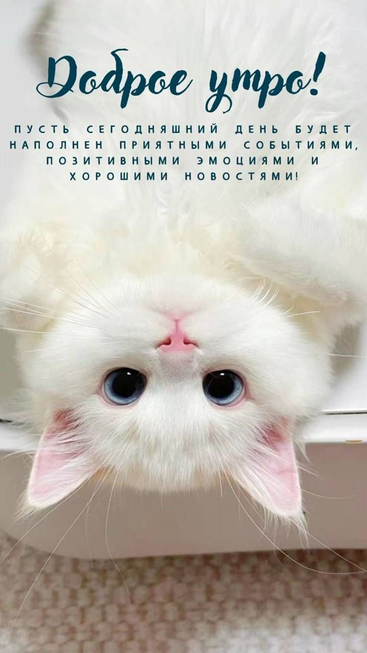 Доброе утро! Пусть сегодняшний день будет наполнен приятными событиями, позитивными эмоциями и хорошими новостями!