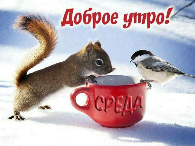 Доброе утро! СРЕДА