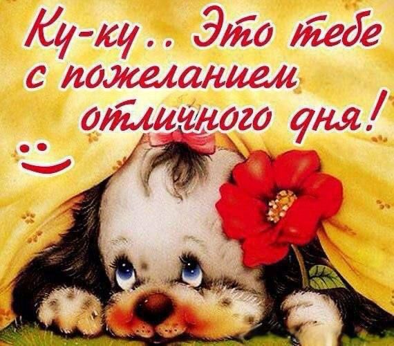 Ку-ку.. Это тебе с пожеланием отличного дня!