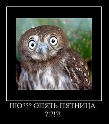 ШО??? ОПЯТЬ ПЯТНИЦА ?!?!