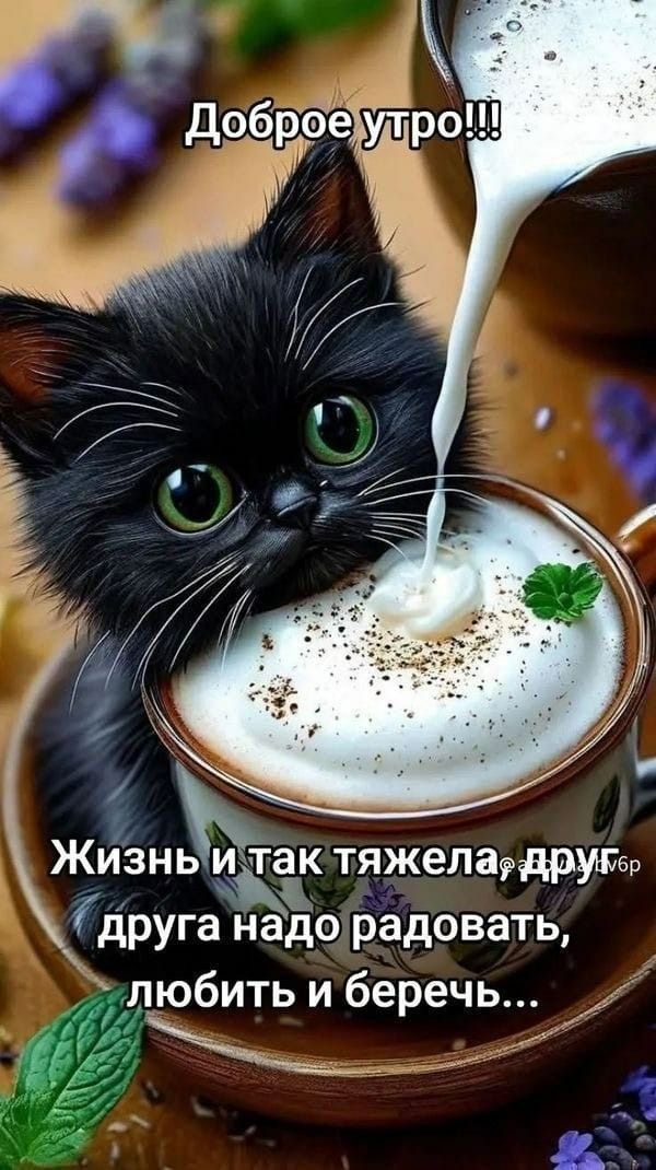 Доброе утро!!! Жизнь и так тяжела, друг надо радовать, любить и беречь...