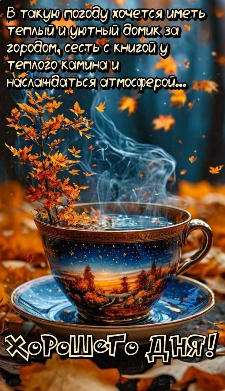 В такую погоду хочется иметь теплый и уютный домик за городом, сесть с книгой у теплого камина и наслаждаться атмосферой... Хорошего дня!