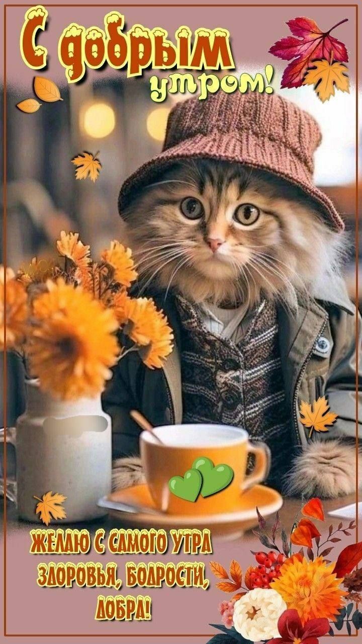 С добрым утром! Желаю с самого утра здоровья, бодрости, добра!