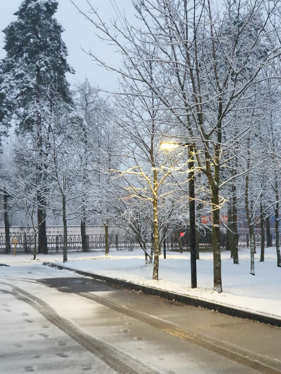 зимний снежный парк вдоль улицы с деревьями и фонарями