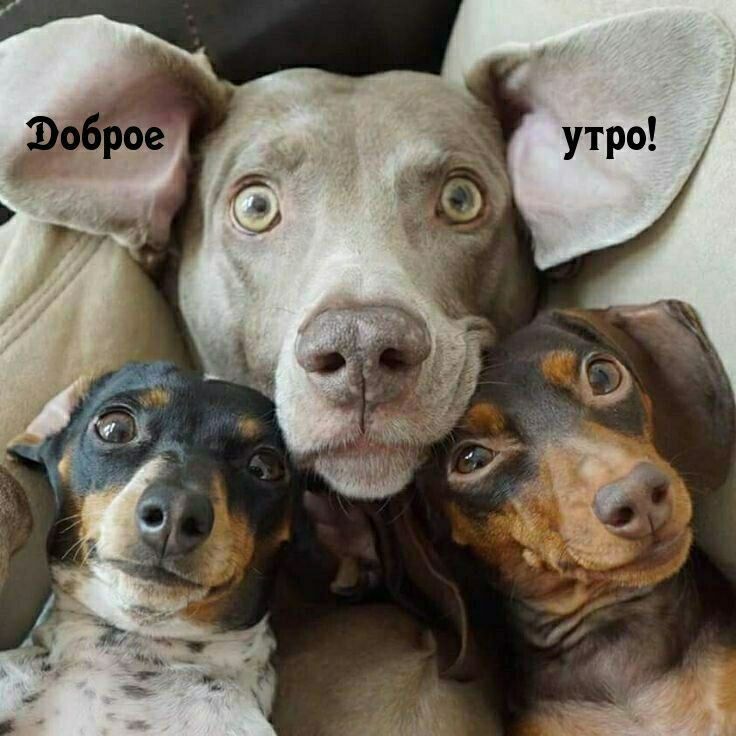 Доброе утро!