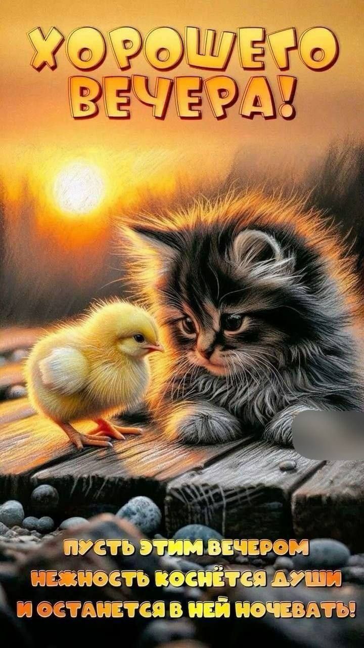 ХОРОШЕГО ВЕЧЕРА!\nПУСТЬ ЭТИМ ВЕЧЕРОМ НЕЖНОСТЬ КОСНЁТСЯ ДУШИ И ОСТАНЕТСЯ В НЕЙ НОЧЕВАТЬ!