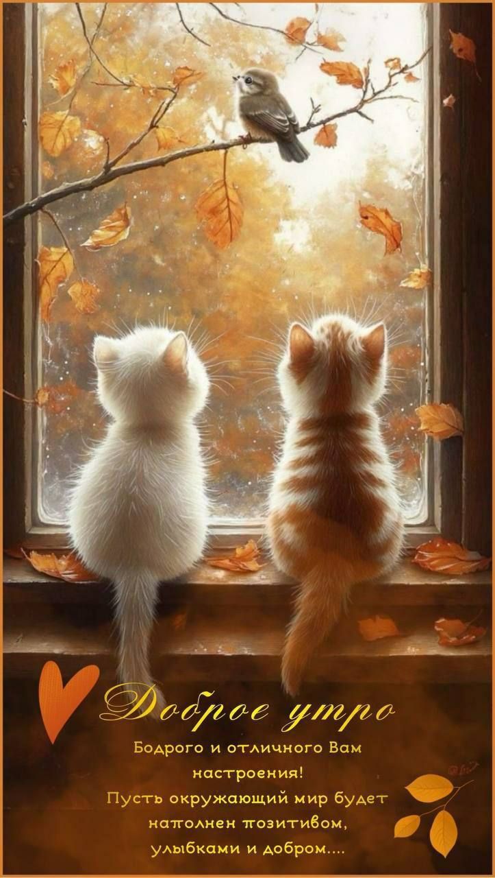 Доброе утро. Бодрого и отличного Вам настроения! Пусть окружающий мир будет наполнен позитивом, улыбками и добром.....