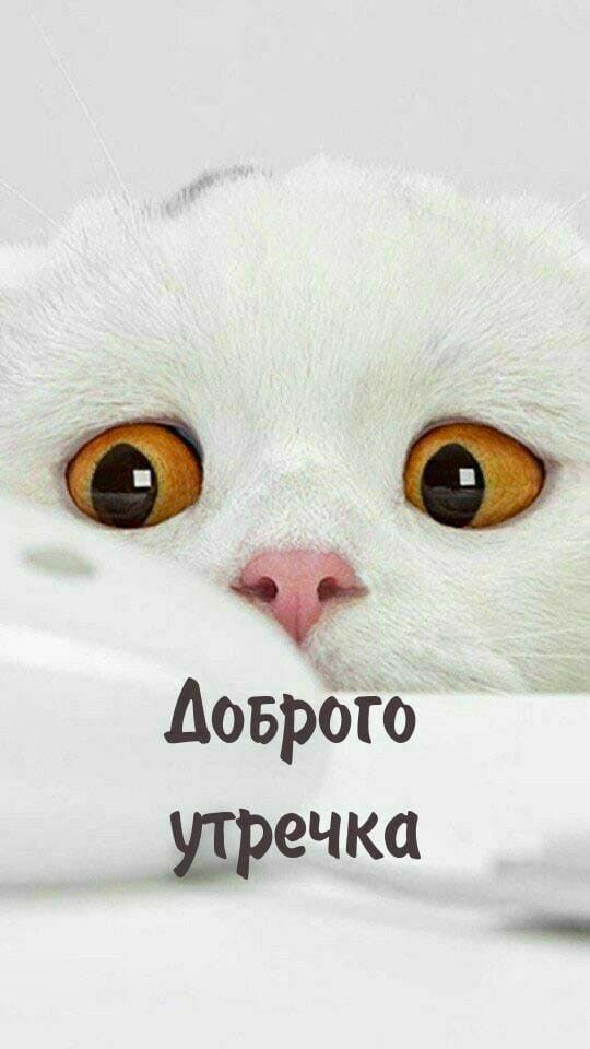 Доброго утречка