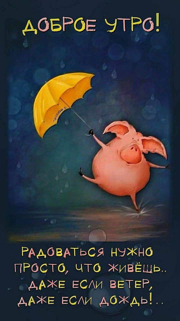 ДОБРОЕ УТРО! РАДОВАТЬСЯ НУЖНО ПРОСТО, ЧТО ЖИВЁШЬ... ДАЖЕ ЕСЛИ ВЕТЕР, ДАЖЕ ЕСЛИ ДОЖДЬ!