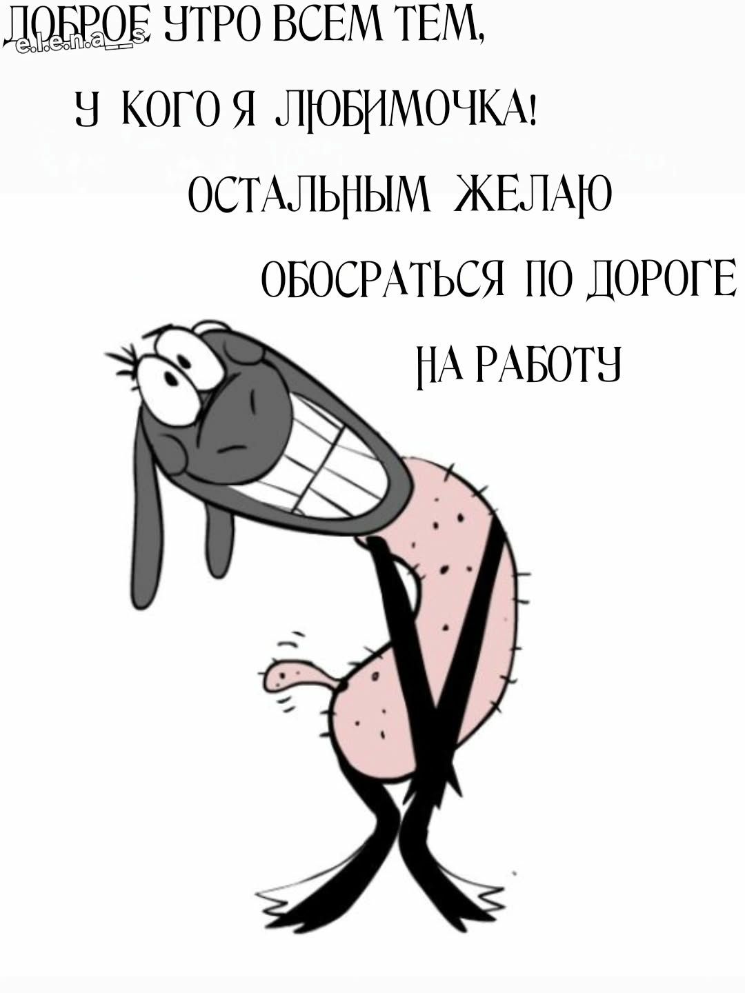 Доброе утро всем тем, у кого я любимочка! Остальным желаю обосраться по дороге на работу