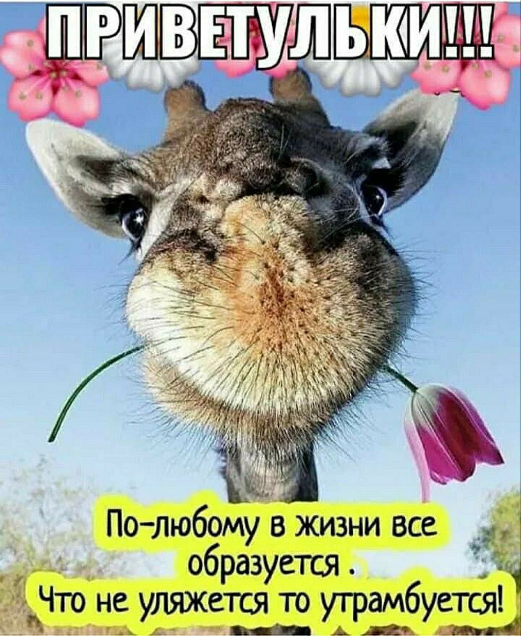 ПРИВЕТУЛЬКИ!!! По-любому в жизни все образуется. Что не уляжется то утрюмется!